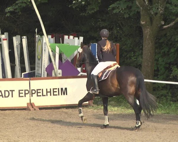 Eppelheimer Reiterfest 2018