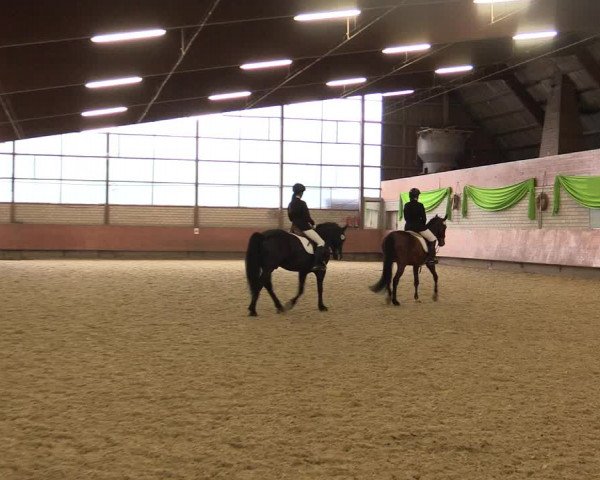 Reitturnier Hellefeld 2018