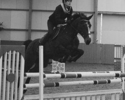 broodmare Babalou 34 (Oldenburg, 2003, from Balou du Rouet)