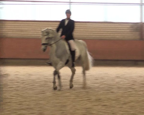 Reitturnier Hellefeld 2018