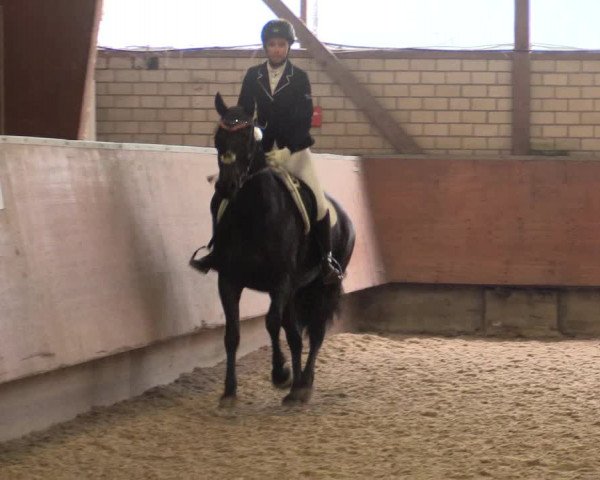 Reitturnier Hellefeld 2018