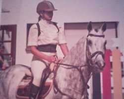 jumper Le Petit Male (German Warmblood, 2004, from L Avian)