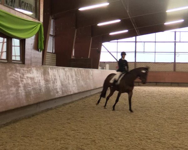 Reitturnier Hellefeld 2018