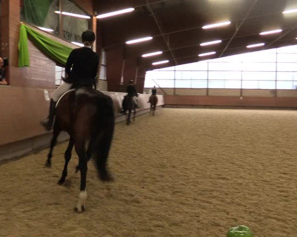 Reitturnier Hellefeld 2018