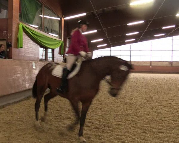 Reitturnier Hellefeld 2018