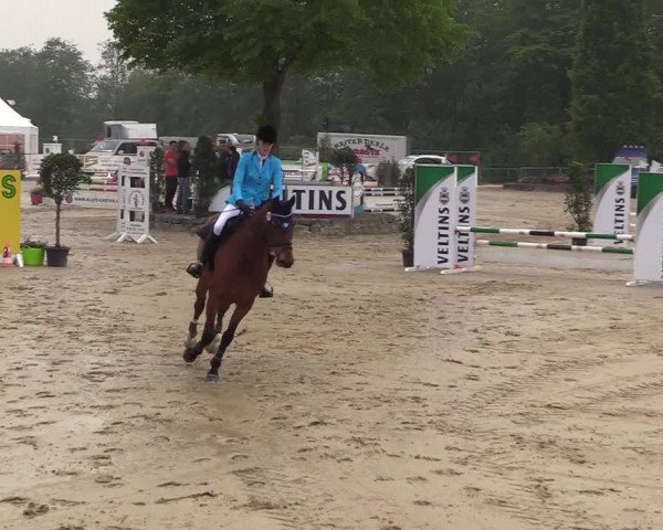 Reitturnier Hellefeld 2018