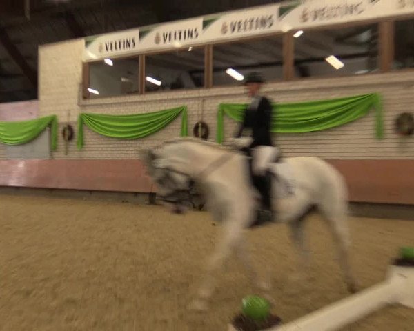 Reitturnier Hellefeld 2018