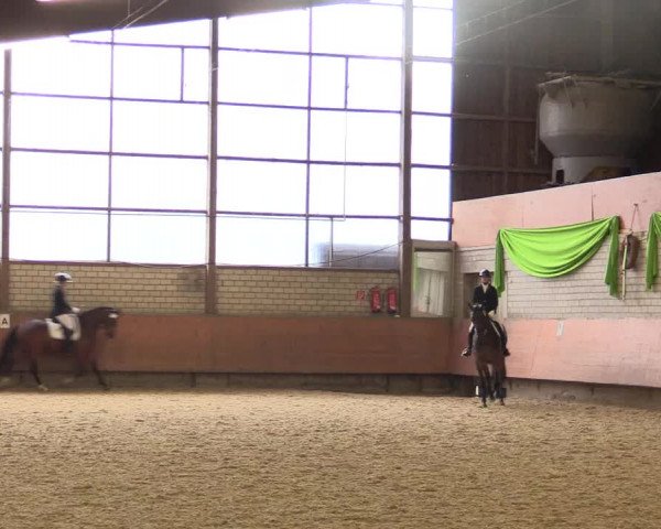 Reitturnier Hellefeld 2018