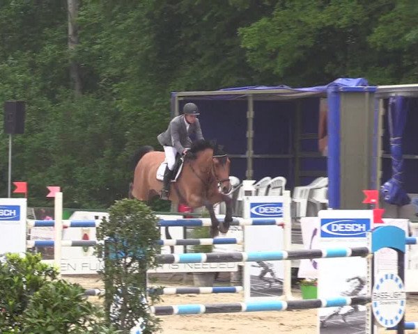 Reitturnier Hellefeld 2018