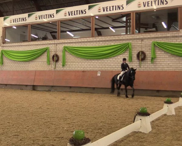 Reitturnier Hellefeld 2018