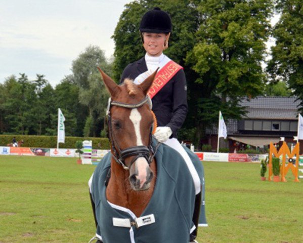 Dressurpferd Double Enjoy (Deutsches Reitpony, 2008, von Dressman)