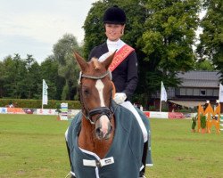 dressage horse Double Enjoy (German Riding Pony, 2008, from Dressman)