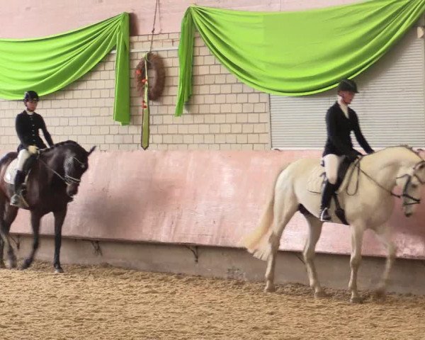 Reitturnier Hellefeld 2018