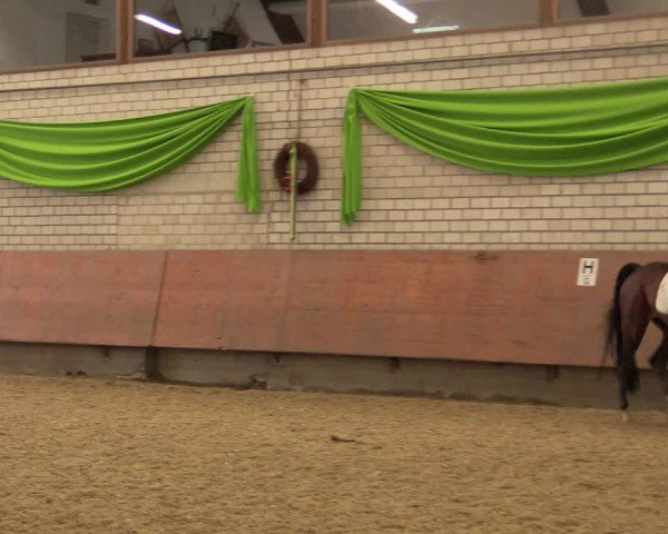 Reitturnier Hellefeld 2018