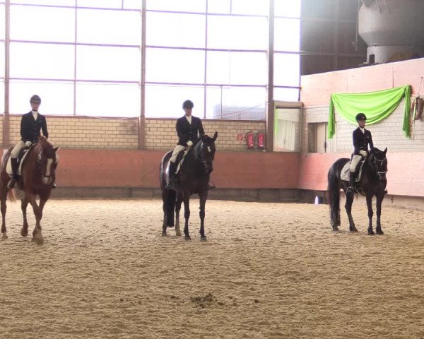 Reitturnier Hellefeld 2018