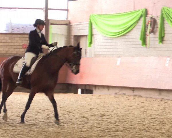 Reitturnier Hellefeld 2018
