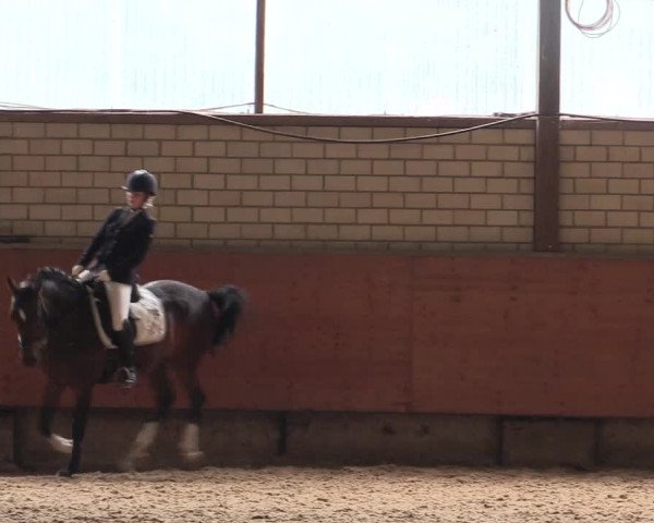 Reitturnier Hellefeld 2018
