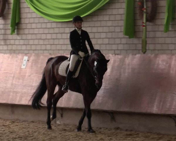 Reitturnier Hellefeld 2018