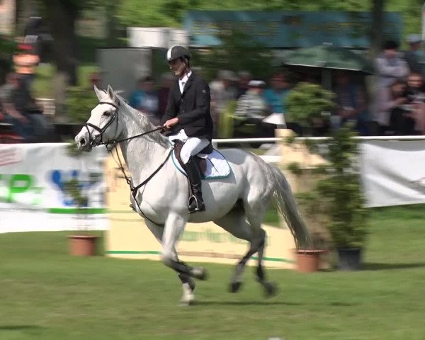 Greppiner Derby 2018