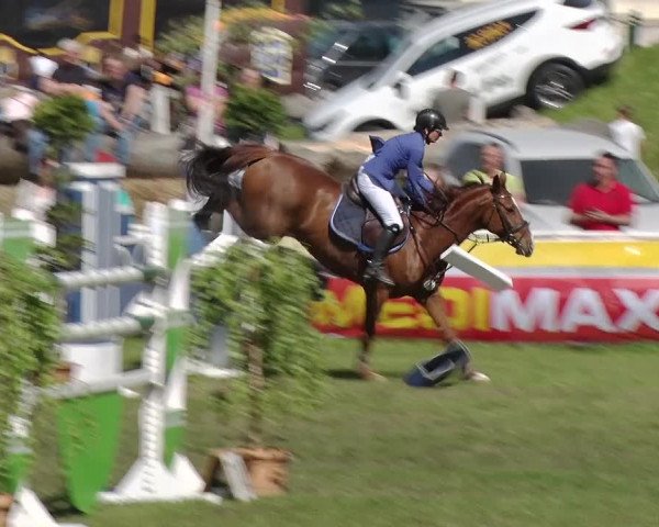 Greppiner Derby 2018