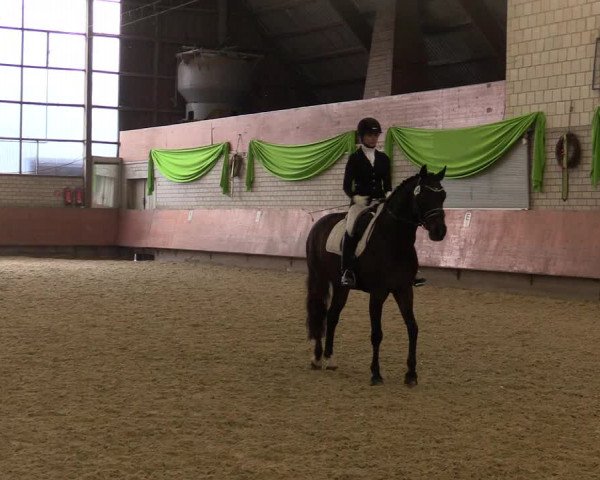 Reitturnier Hellefeld 2018