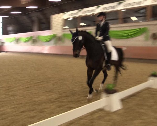Reitturnier Hellefeld 2018