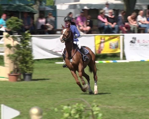 Greppiner Derby 2018
