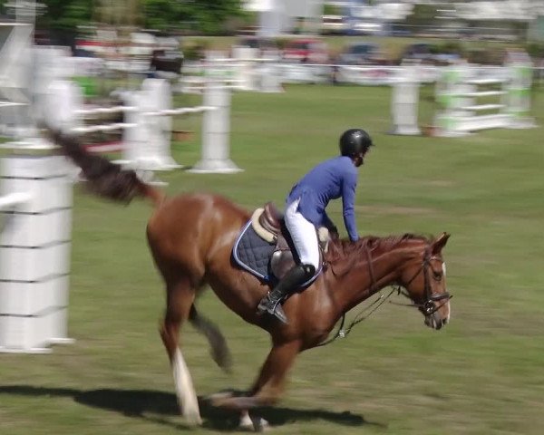 Greppiner Derby 2018