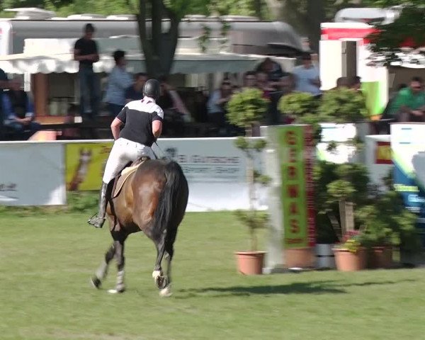 Greppiner Derby 2018