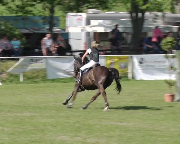 Greppiner Derby 2018