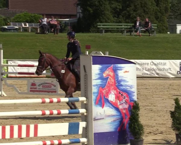 Reitturnier Hamm-Rhynern 2018