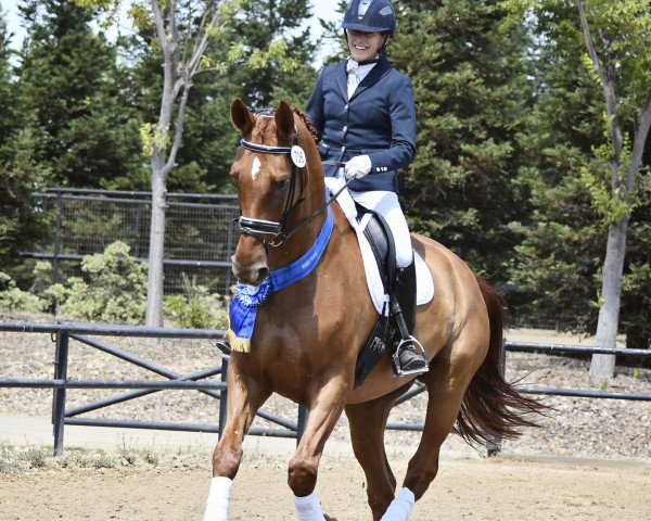 dressage horse Watulele (Hanoverian, 2004, from Wolkenstein II)