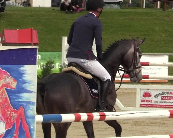 Reitturnier Hamm-Rhynern 2018