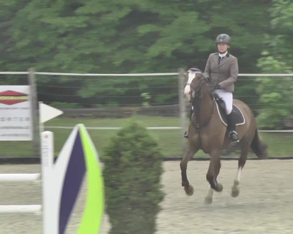 Reitturnier Winkel 2018