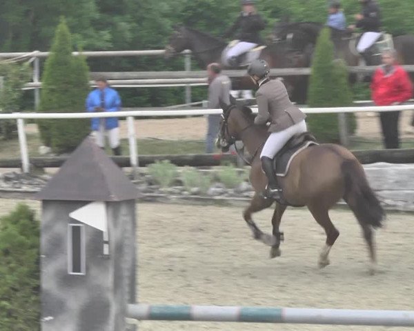 Reitturnier Winkel 2018