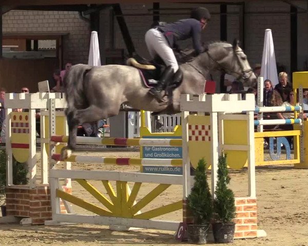 Reitturnier Hamm-Rhynern 2018