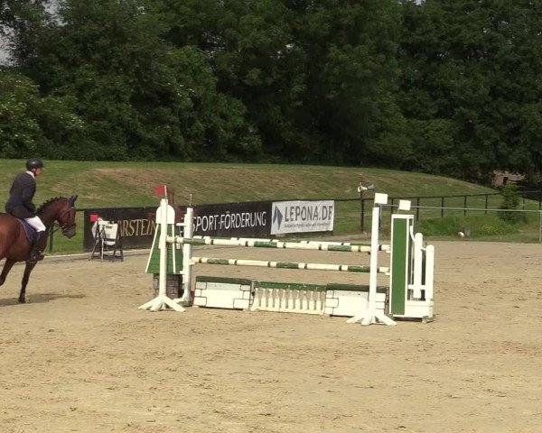 Reitturnier Hamm-Rhynern 2018