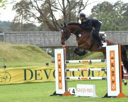 jumper FLYING PRINCESS 6 (German Sport Horse, 2009, from For Europe)