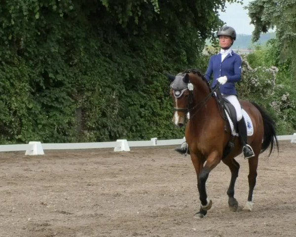 Eppelheimer Reiterfest 2018