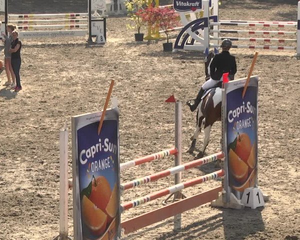 Eppelheimer Reiterfest 2018