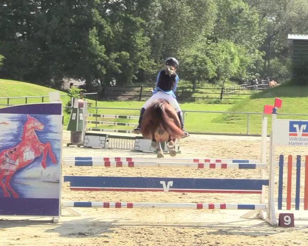 Reitturnier Hamm-Rhynern 2018