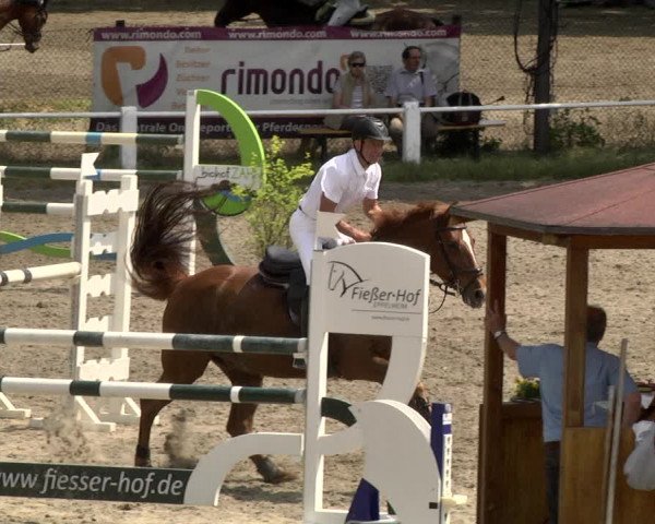 Eppelheimer Reiterfest 2018