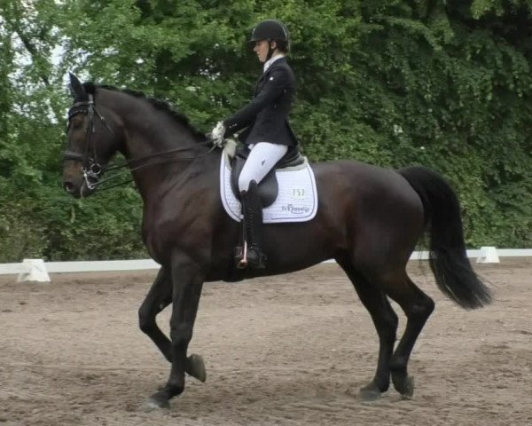 Eppelheimer Reiterfest 2018