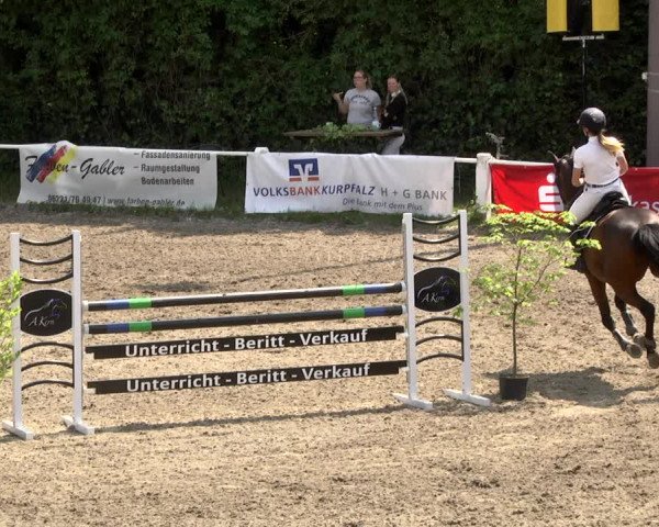 Eppelheimer Reiterfest 2018