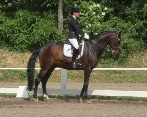 Eppelheimer Reiterfest 2018