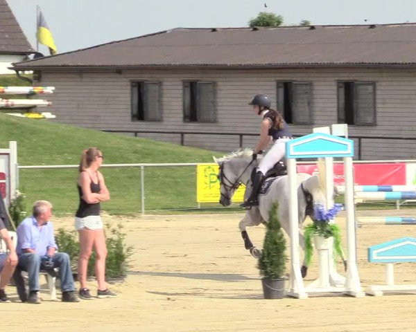 Reitturnier Hamm-Rhynern 2018