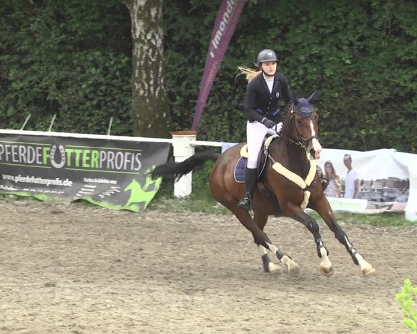 Eppelheimer Reiterfest 2018