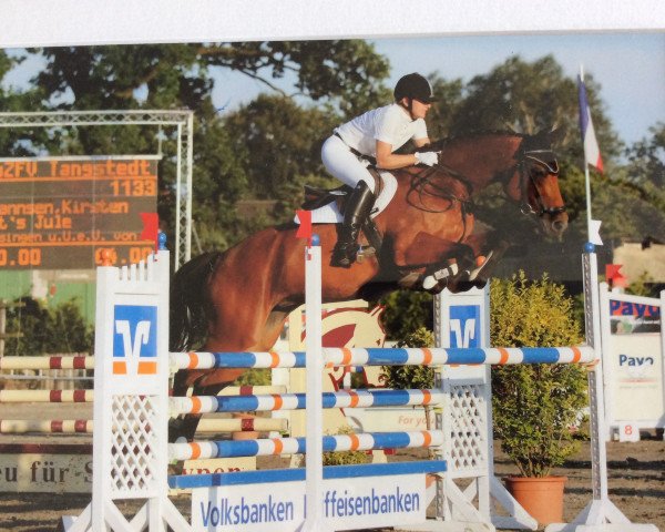 Zuchtstute That's Jule (Holsteiner, 2003, von Contendro I)