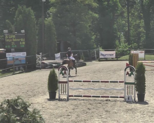 Reitturnier Winkel 2018