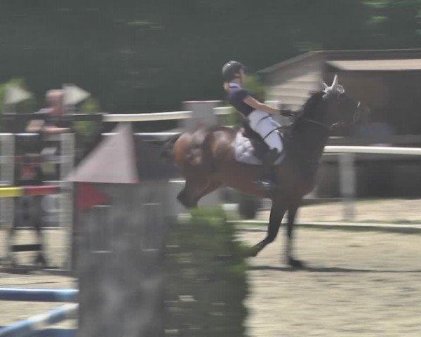 Reitturnier Winkel 2018